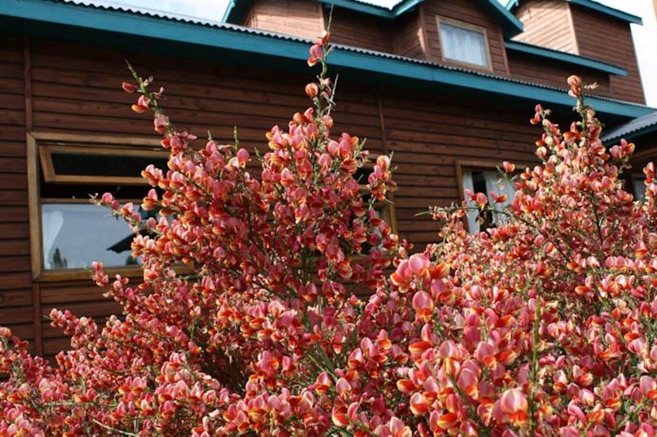 Hosteria Hainen Ел Калафате Екстериор снимка